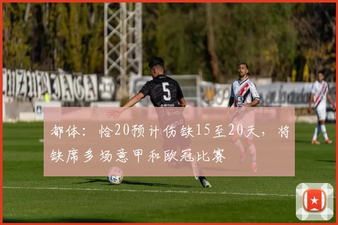 都体：恰20预计伤缺15至20天，将缺席多场意甲和欧冠比赛