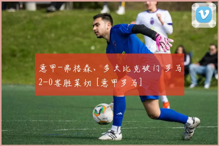 意甲-弗格森、多夫比克破门 罗马2-0客胜莱切 [意甲罗马]