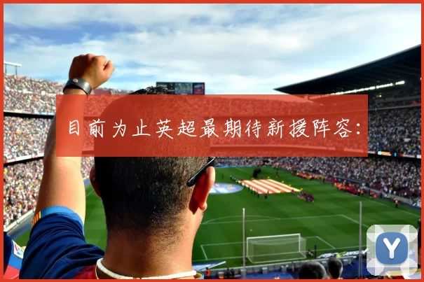 目前为止英超最期待新援阵容：