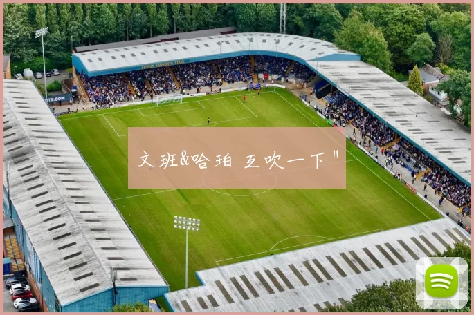 文班&哈珀 互吹一下＂