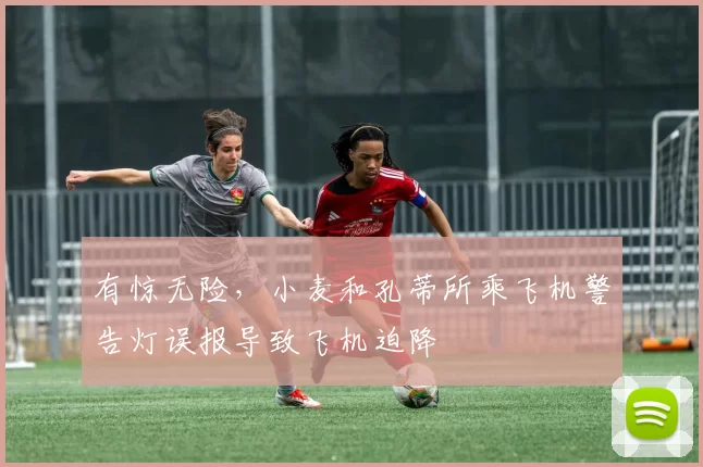 有惊无险，小麦和孔蒂所乘飞机警告灯误报导致飞机迫降