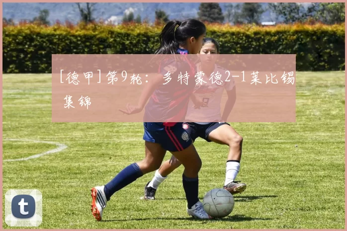 [德甲]第9轮：多特蒙德2-1莱比锡 集锦