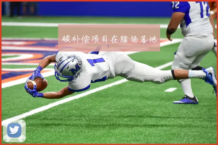 碳补偿项目在赌场落地