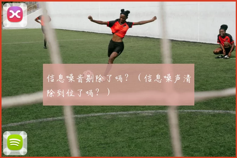 信息噪音剔除了吗？（信息噪声清除到位了吗？）