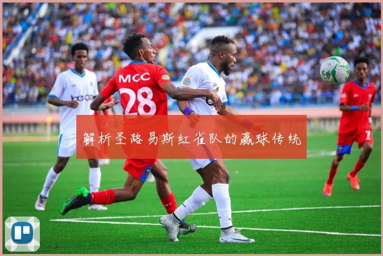 解析圣路易斯红雀队的赢球传统