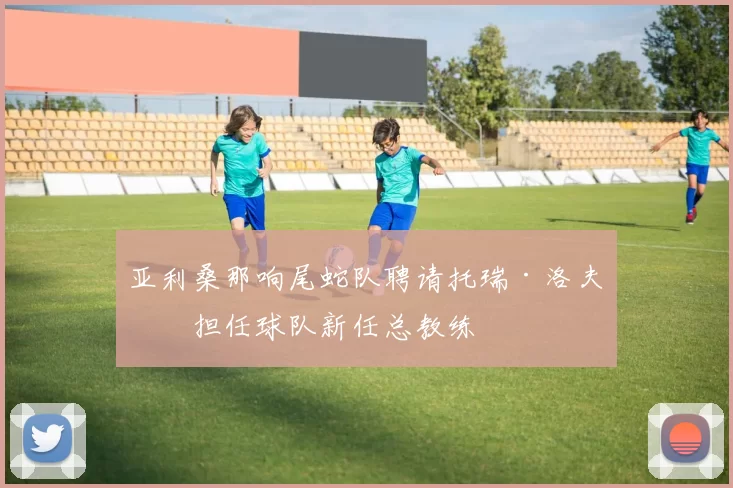 亚利桑那响尾蛇队聘请托瑞·洛夫洛担任球队新任总教练